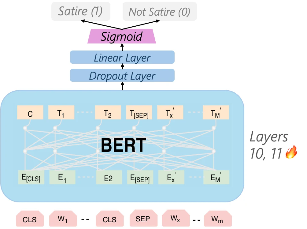 The satire detector: a fine-tuned BERT with its last two layers unfrozen, followed by dropout and a linear layer.